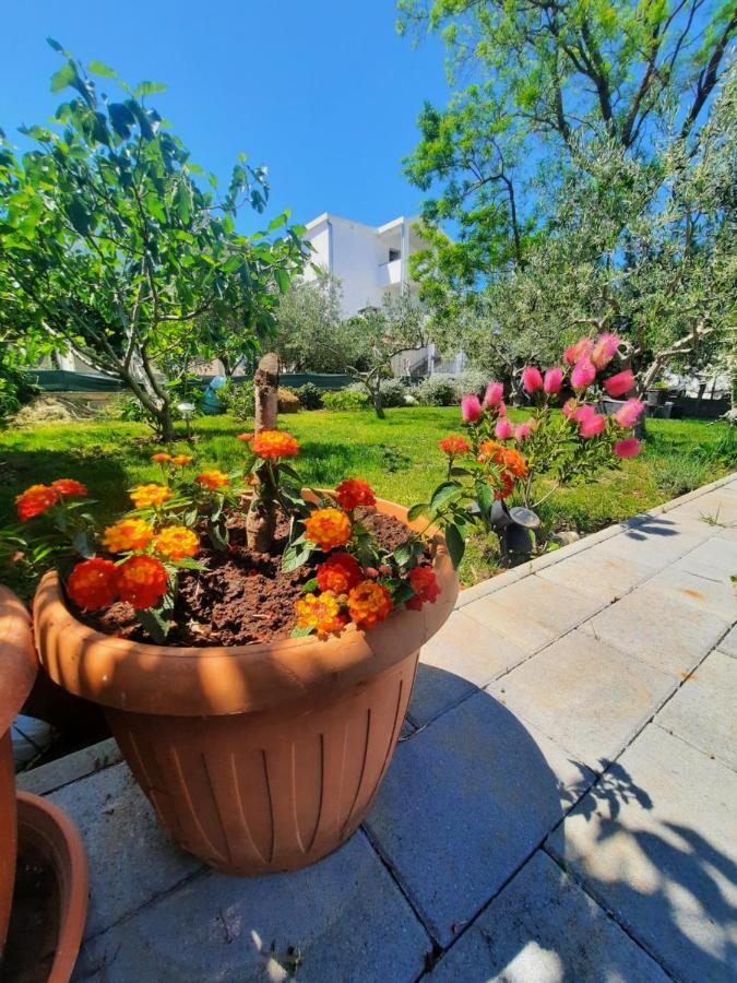 Apartment Noa'S Garden Bibinje Exterior photo
